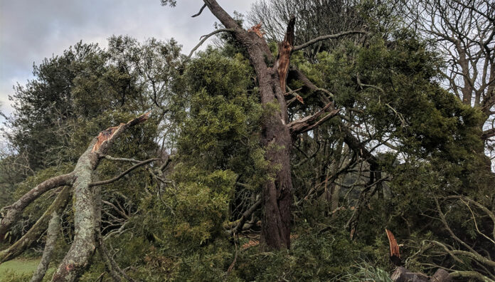 Thousands of residents continue to be left without electricity or running water after a Victorian storm.