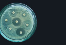 antimicrobial resistance