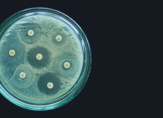 antimicrobial resistance