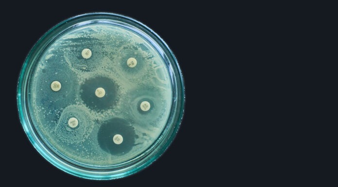 antimicrobial resistance