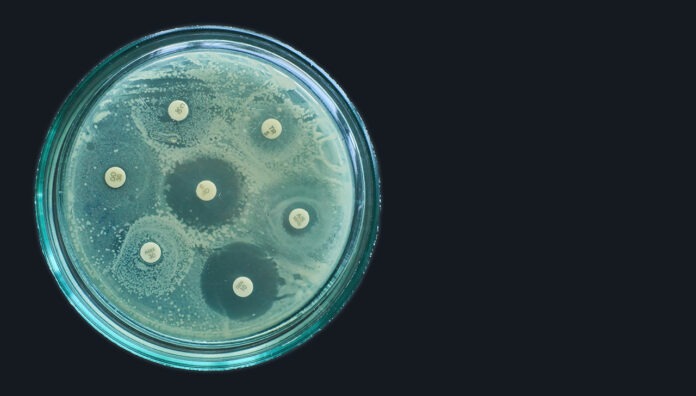 antimicrobial resistance