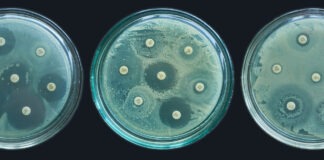 OECD sounds the alarm on antimicrobial resistance