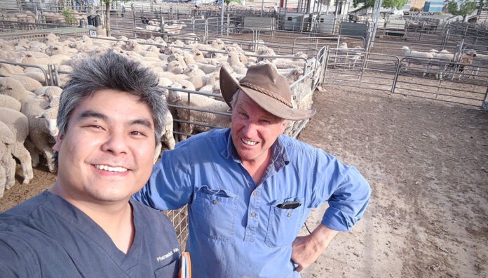 IMG_0934_WEB Q fever vaccination